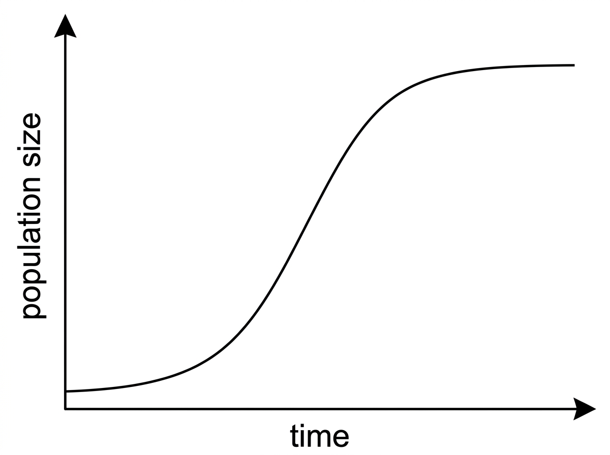 A simple unlabelled sketch-style stimulus showing axes for population size against time with space for students to refer to early steep growth and later levelling; no phase labels or carrying capacity label should be shown.