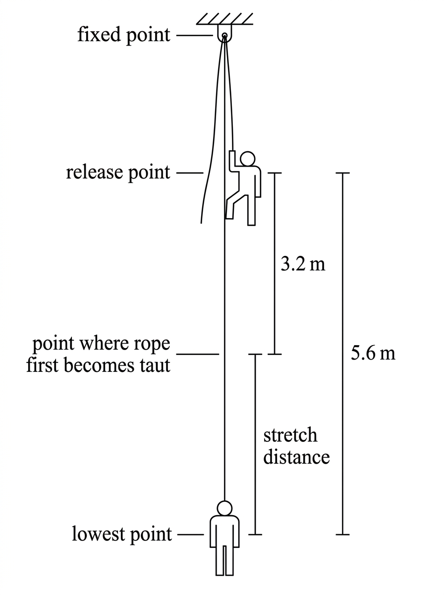 Vertical diagram showing a climber attached to an overhead fixed point by a rope. The initial position, point where the rope first becomes taut, and lowest position are labelled. A bracket indicates the slack distance and another bracket indicates the stretch distance. The rope is shown straight and stretched at the lowest position.
