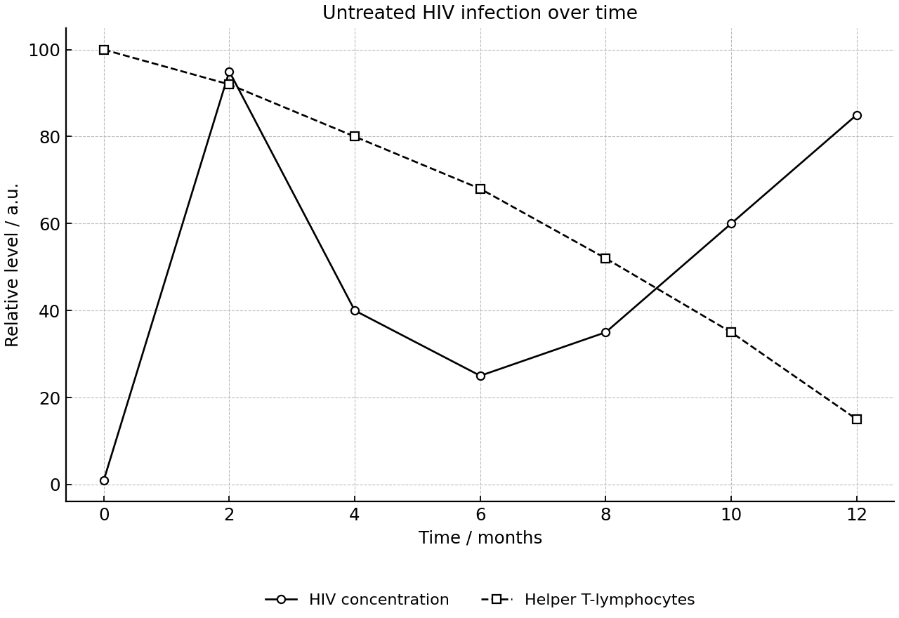 Relative HIV concentration and helper T-cell levels during untreated infection.