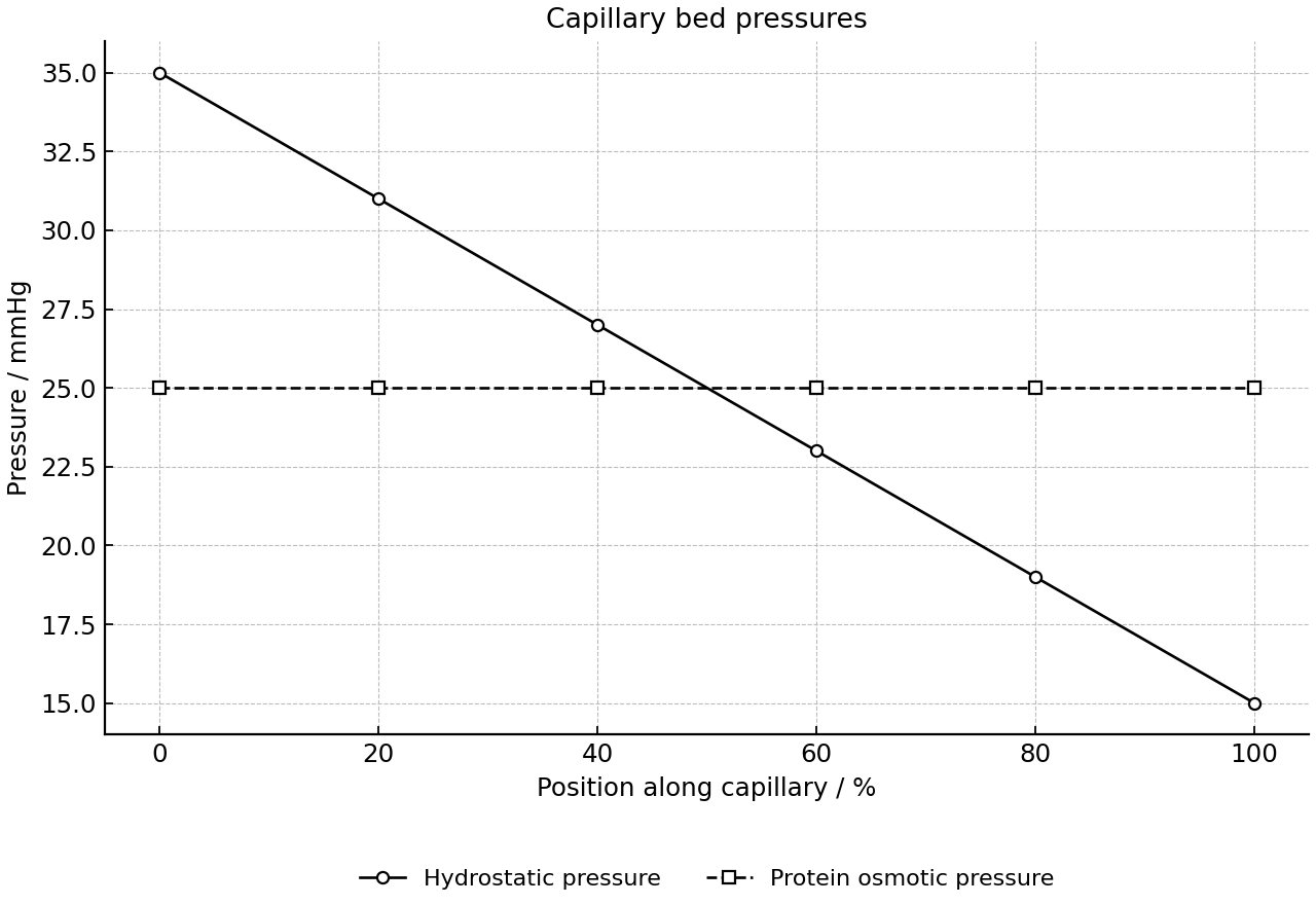 Systemic capillary pressures from arteriole to venule.