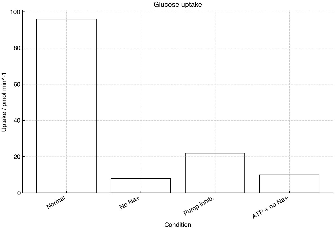 Bar chart showing glucose uptake rate in epithelial cells under four medium conditions.