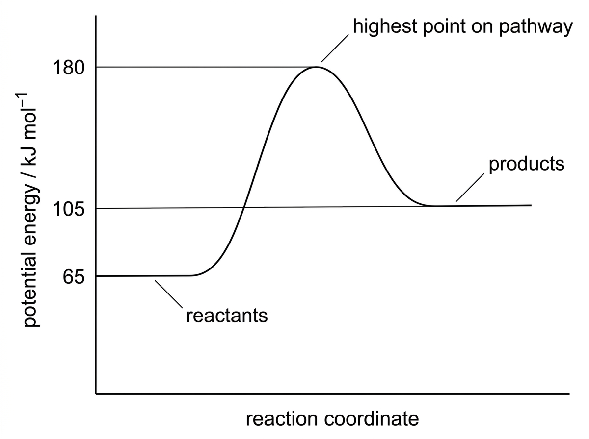 Energy profile with potential energy on the y-axis and reaction coordinate on the x-axis. Reactants, products and the highest point on the reaction pathway are labelled. The profile shows products above reactants and a single peak above both. The diagram supports reading relative energy levels without showing the calculated values of $E_a$ or $\Delta H$.