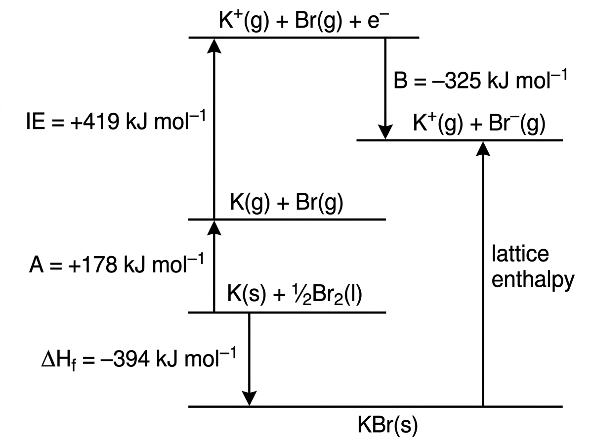 Born–Haber cycle for KBr(s) with energy levels for K(s)+1/2Br2(l), K(g)+Br(g), K+(g)+Br(g)+e−, K+(g)+Br−(g), and KBr(s). Include labelled arrows for atomization/sublimation, ionization energy, electron affinity, enthalpy of formation and lattice enthalpy, with numerical values except the lattice enthalpy.