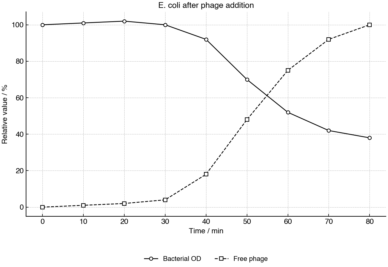 Line graph showing relative bacterial optical density and free phage particles after lambda phage addition.