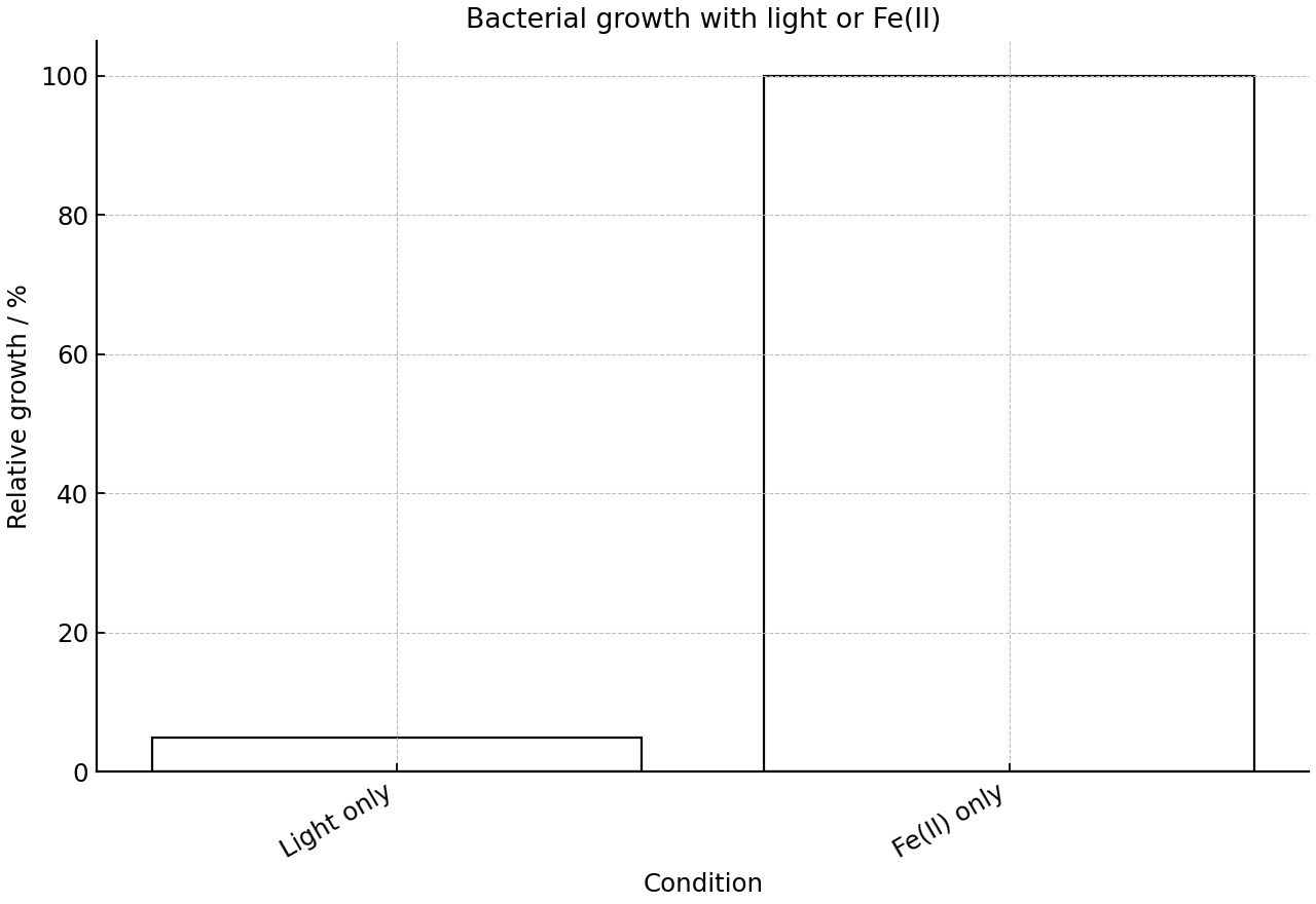 Relative growth of iron-oxidizing bacteria in two conditions.
