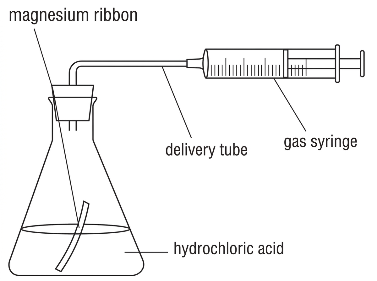 A labelled apparatus diagram showing a conical flask containing magnesium and excess hydrochloric acid connected by delivery tubing to a gas syringe. Labels should include magnesium ribbon, hydrochloric acid, delivery tube and gas syringe. The diagram must not include any calculated gas volume.