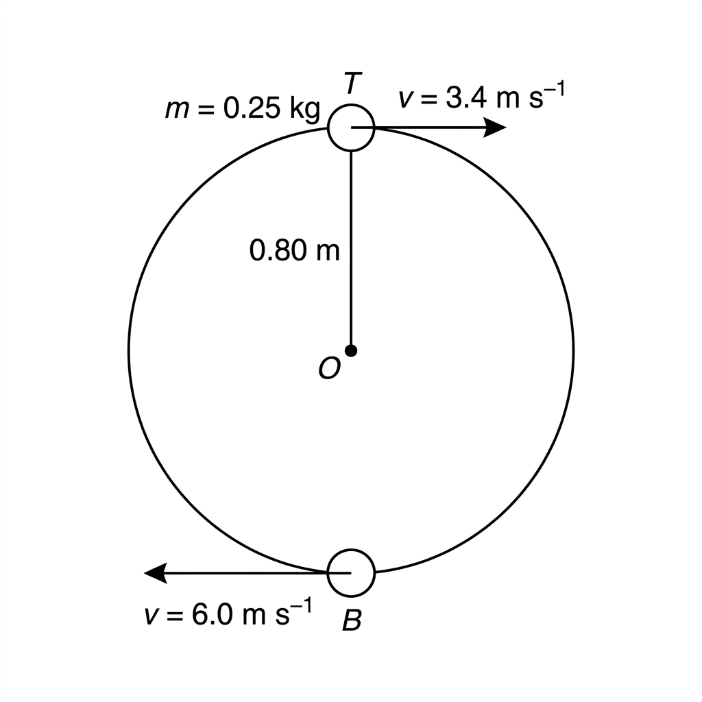 Vertical circle traced by a small ball on a string. The centre of the circle and the top and bottom positions are marked. Tangential velocity arrows are shown at the top and bottom, but no force arrows are shown.