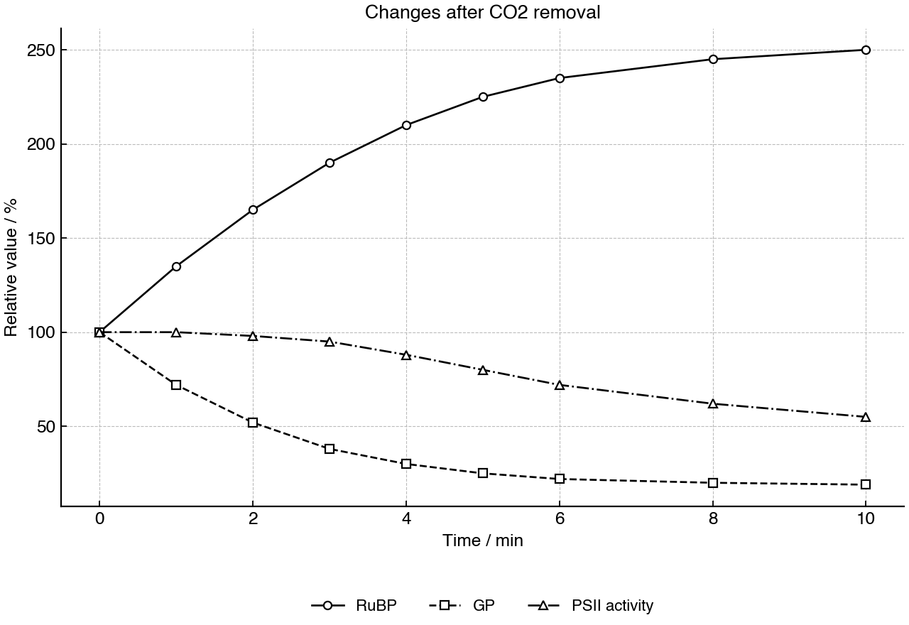 Relative concentrations of two Calvin cycle intermediates and PSII activity after carbon dioxide removal.