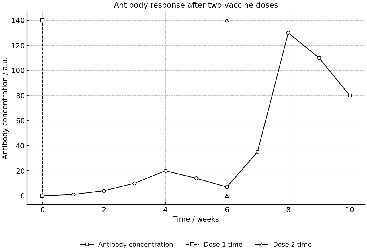Antibody concentration over time after two vaccine doses.