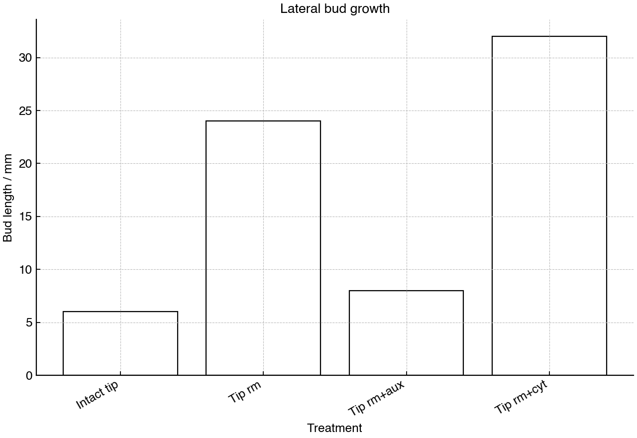 Mean lateral bud length measured under four shoot-tip treatments.