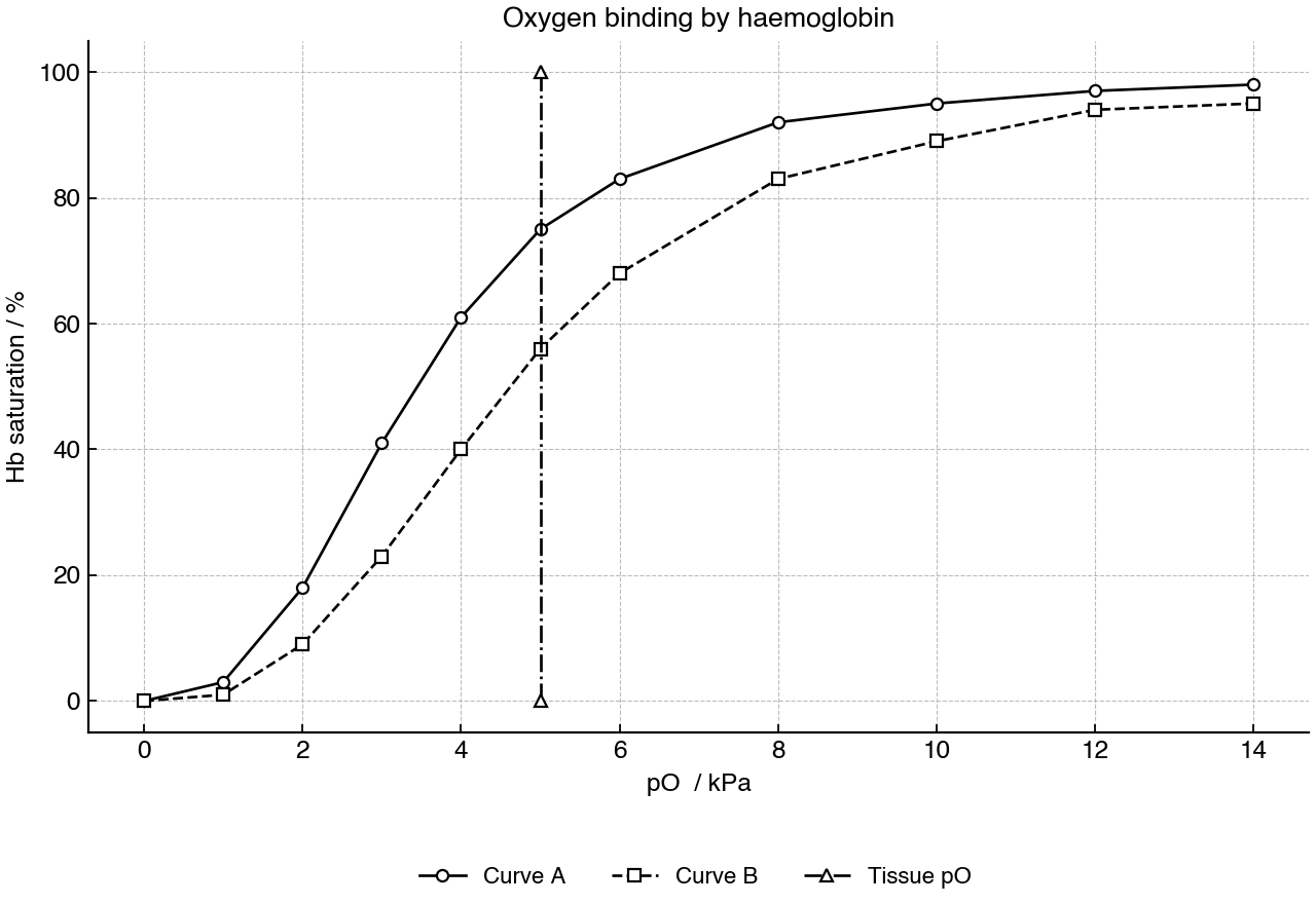 Haemoglobin saturation at different oxygen partial pressures for two carbon dioxide conditions; the vertical line marks a tissue pO₂ value.