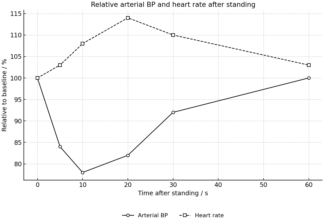 Relative arterial blood pressure and heart rate after standing.