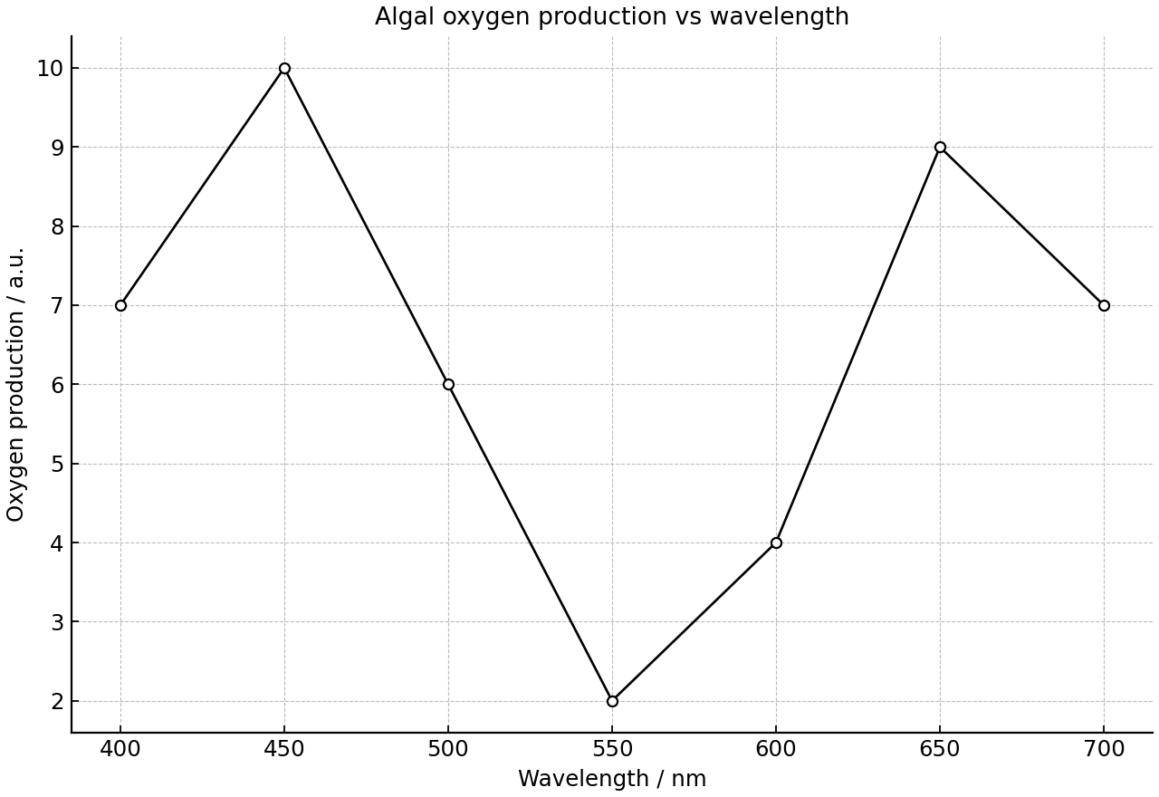 Line graph of oxygen production by algae across wavelengths of visible light.