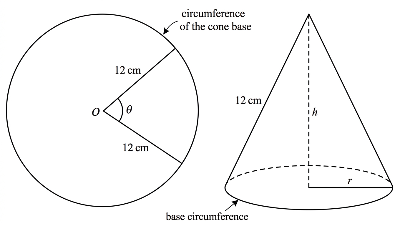 A sector of a circle labelled with radius 12 cm and central angle theta, beside the cone formed by joining the two radii. The sector arc is identified as becoming the circumference of the cone base, and the sector radius is identified as the cone slant height.