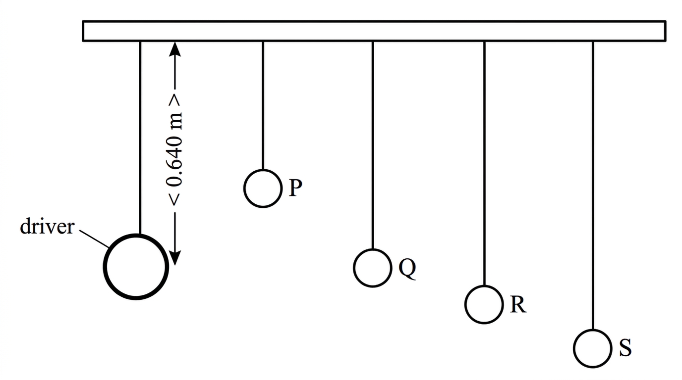 A heavy driver pendulum attached to a horizontal support connected to four smaller pendulums of different lengths. The driver length is labelled 0.640 m. The smaller pendulums are labelled P, Q, R and S with different lengths; one of them is visibly the same length as the driver.