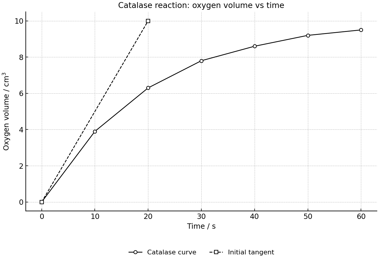 Cumulative oxygen released by catalase over time.