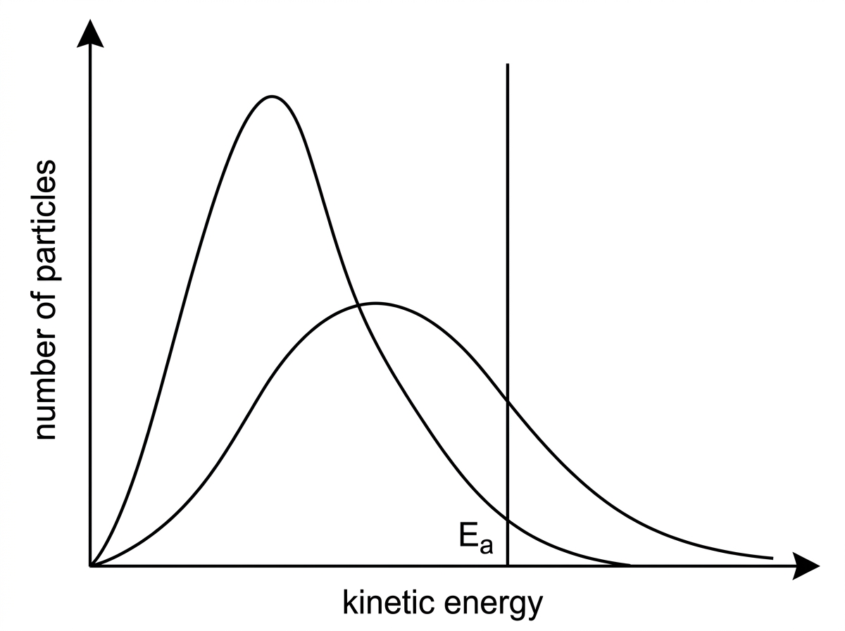 A Maxwell–Boltzmann distribution diagram with two unlabelled curves at different temperatures and a vertical line marking activation energy; axes are number of particles and kinetic energy.