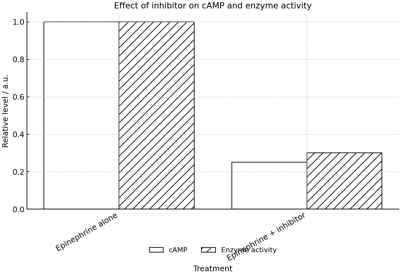 Relative cAMP concentration and glycogen-breakdown enzyme activity in two liver-cell treatments.