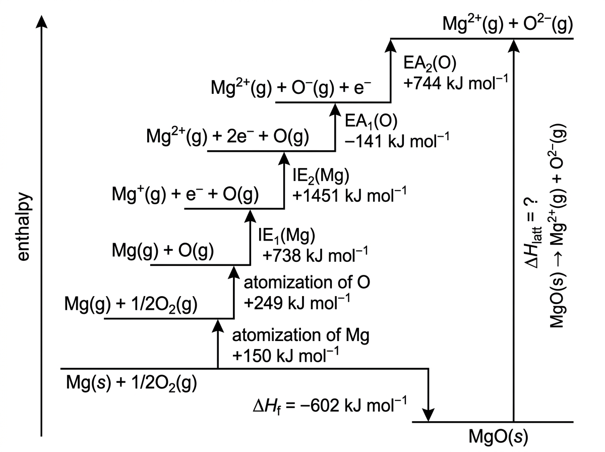 Born–Haber cycle for MgO(s) with labelled numerical arrows for formation from Mg(s)+1/2O2(g), atomization of Mg, atomization of O, first and second ionization energies of Mg, first and second electron affinities of O, and an unknown lattice enthalpy of separation. The energy levels should clearly show gaseous atoms and ions.
