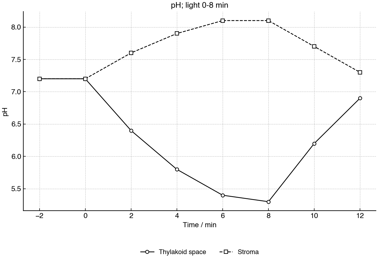 pH measured in two chloroplast regions; light was on from 0 to 8 min.