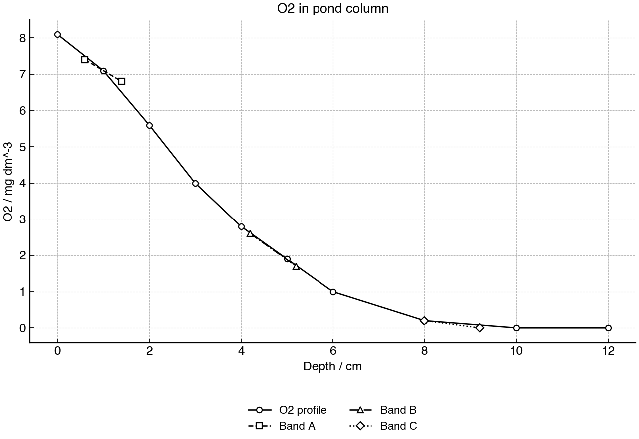 Oxygen concentration and microbial band positions by depth.