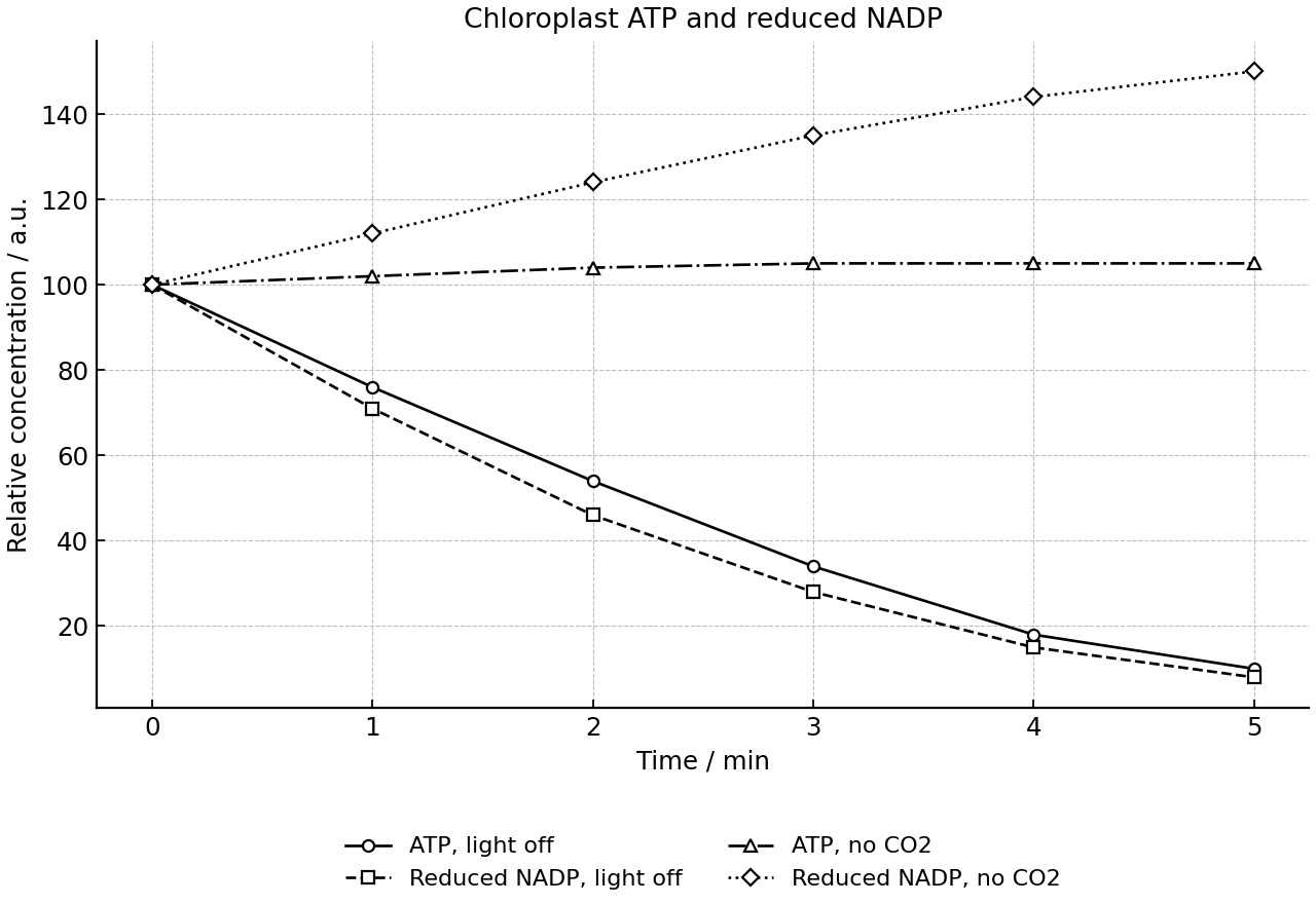 Relative ATP and reduced NADP concentrations in chloroplasts after light is switched off or CO2 is removed.