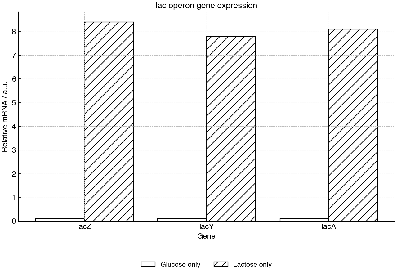 Relative mRNA abundance of three lac operon genes under two carbon-source conditions.