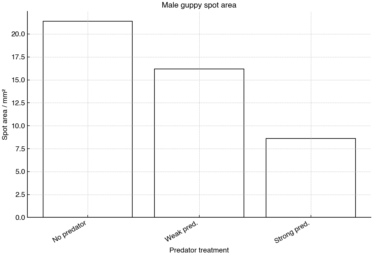 Mean male guppy colour spot area after several generations in predator treatments.