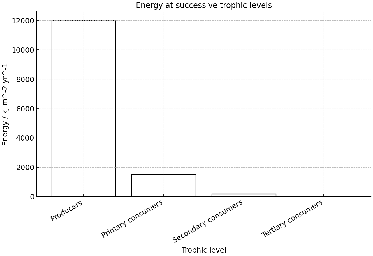 Estimated energy available at successive trophic levels in a freshwater food chain.