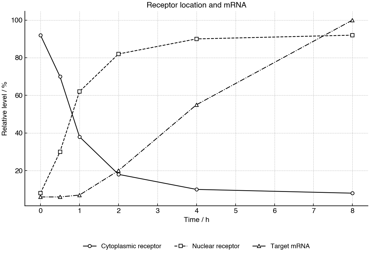 Time course showing receptor redistribution and target mRNA abundance after steroid hormone addition.