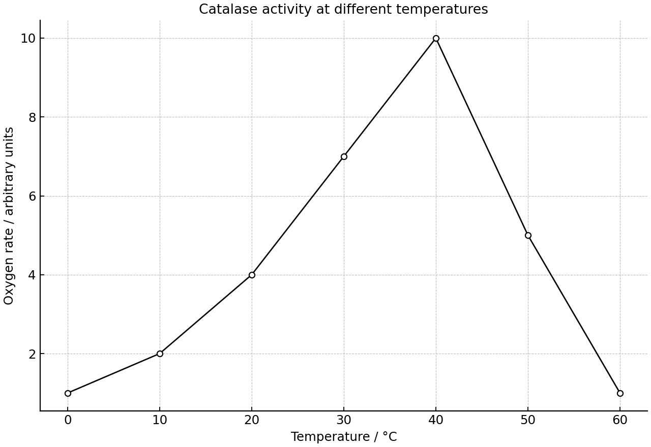 Catalase activity changes with temperature.