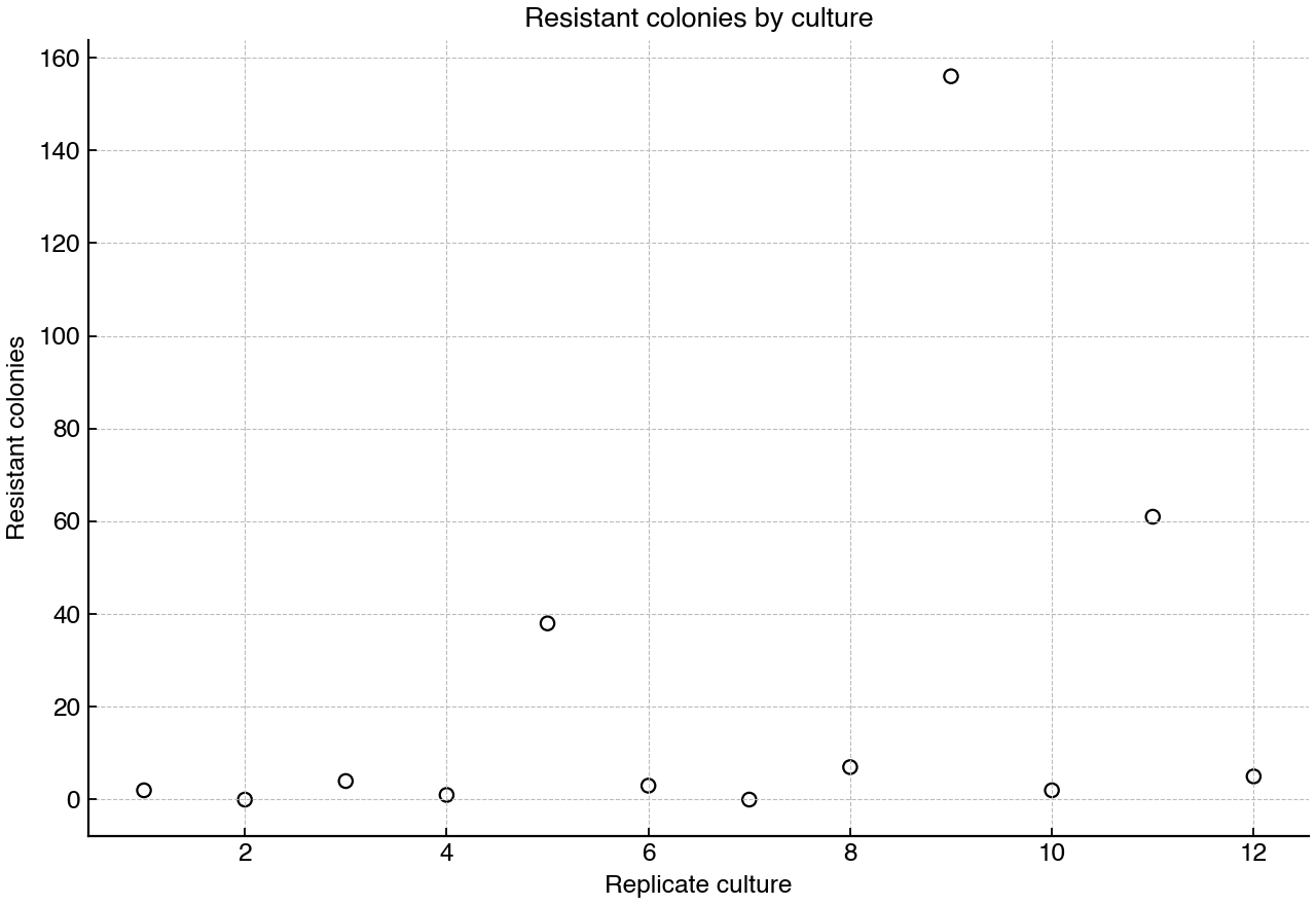 Counts of antibiotic-resistant colonies from replicate bacterial cultures.
