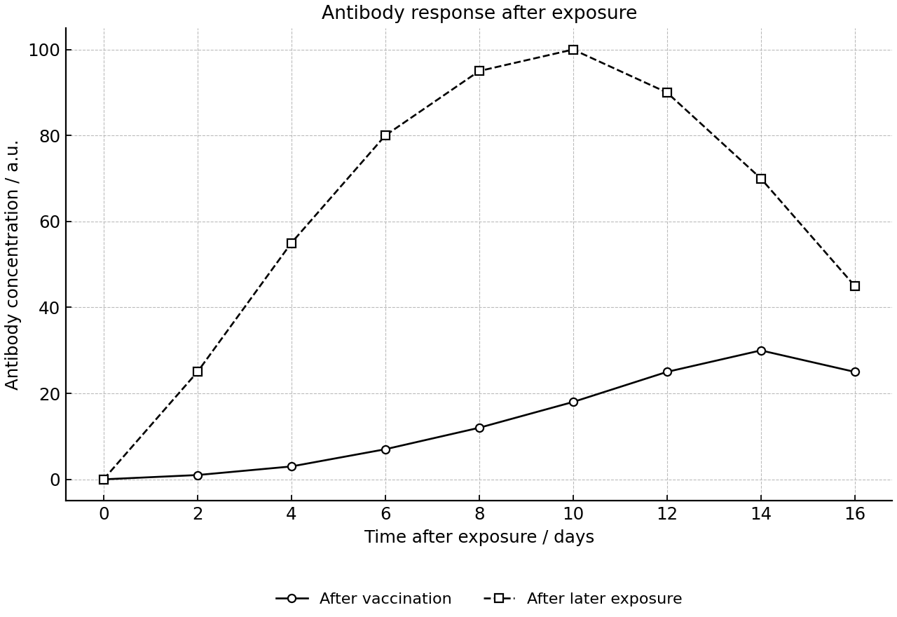 Antibody concentration after vaccination and later exposure to the same pathogen.