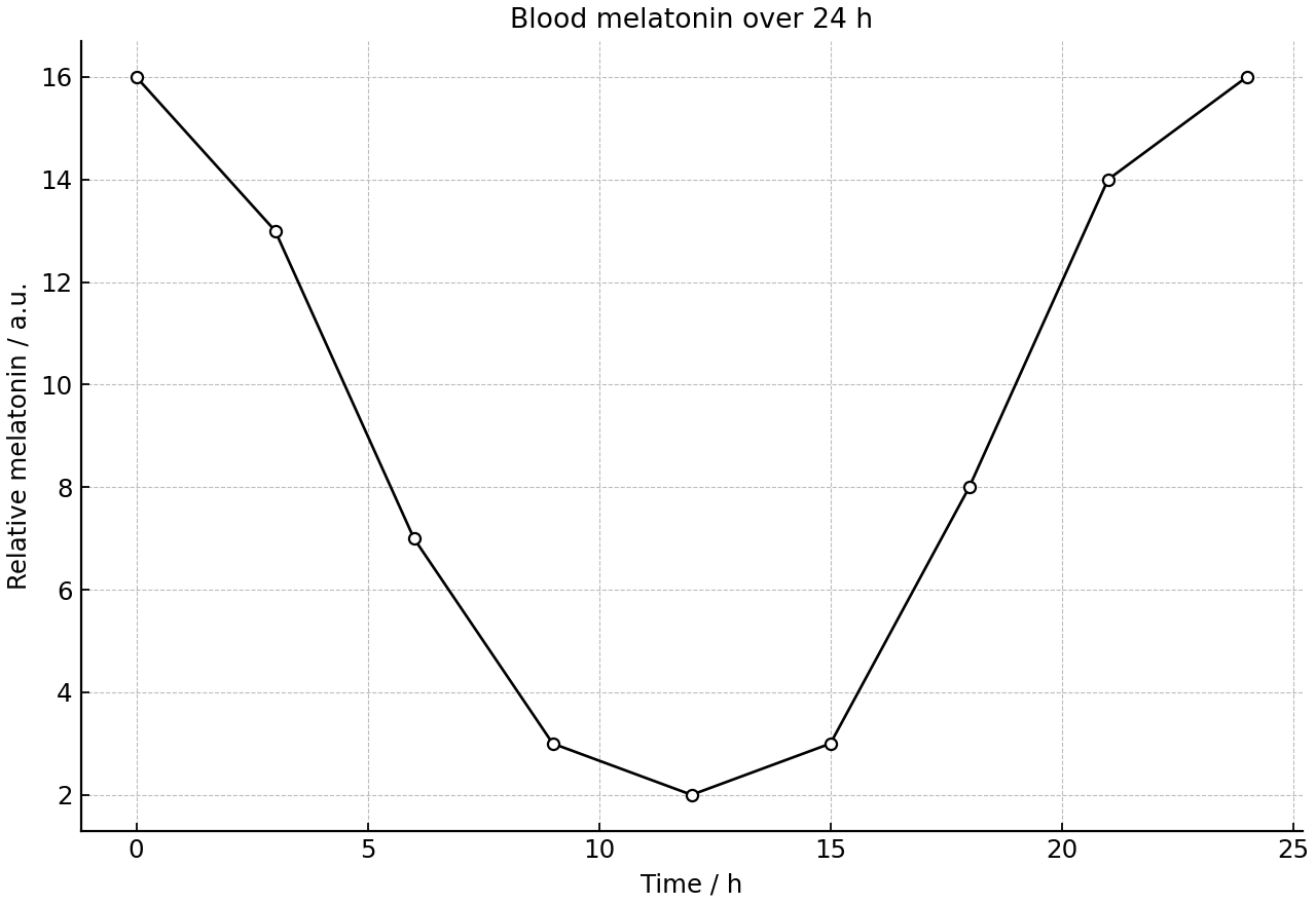 Relative blood melatonin concentration across a 24-hour cycle.