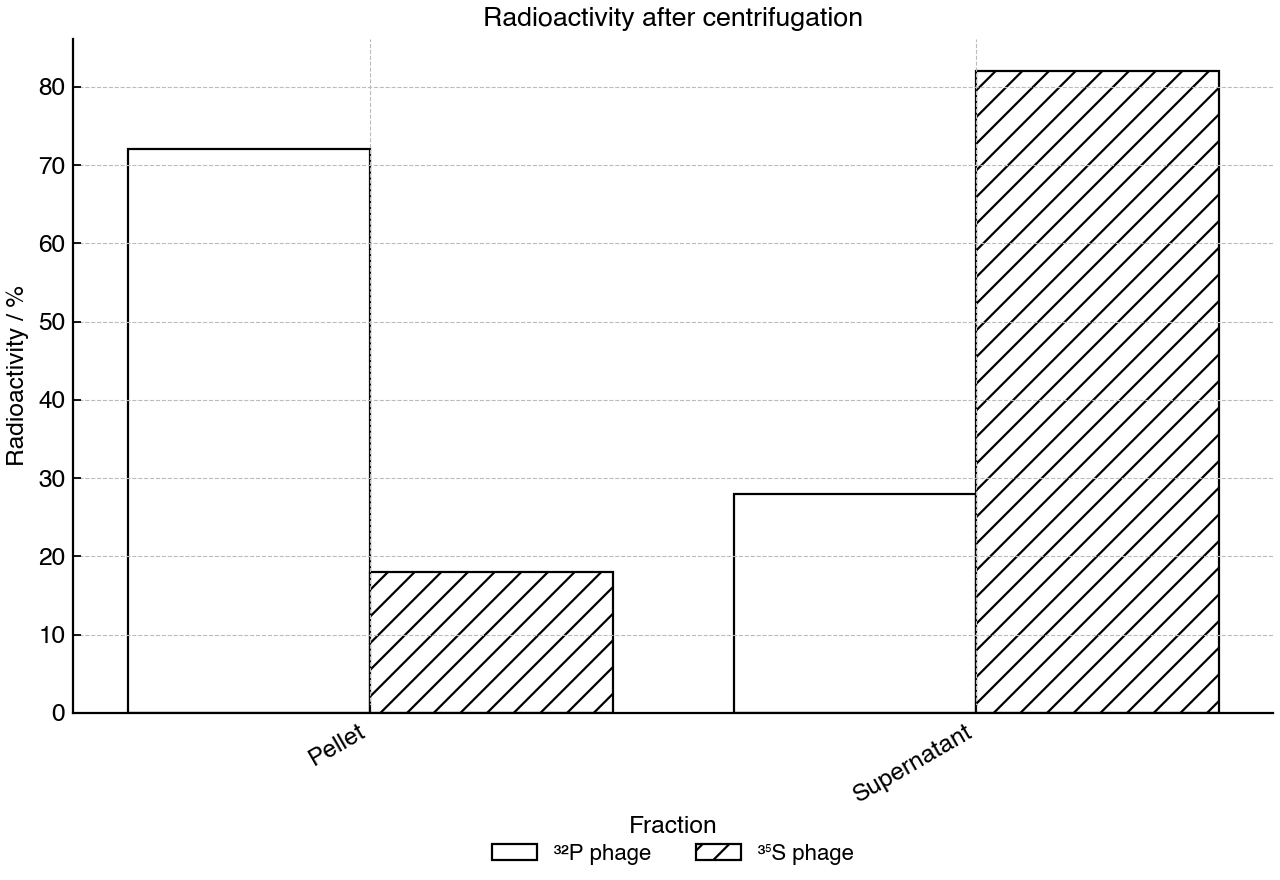 Bar graph showing the percentage of radioactivity in bacterial pellet and supernatant after phage infection, agitation and centrifugation.