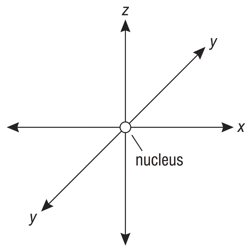 Simple coordinate axes with empty space around a nucleus, suitable for sketching or labelling one spherical s orbital and three mutually perpendicular dumbbell-shaped p orbitals.