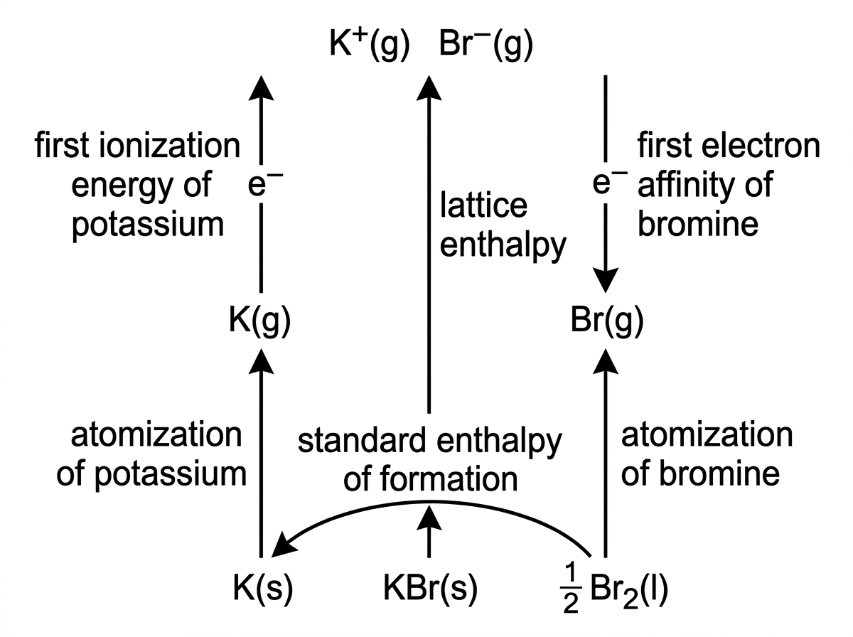 A Born-Haber cycle for potassium bromide showing K(s) plus half Br2(l) forming KBr(s), atomization to gaseous atoms, ionization of K, electron affinity of Br, and lattice separation to gaseous ions. Arrows are clearly labelled by process names but do not contain numerical answers.