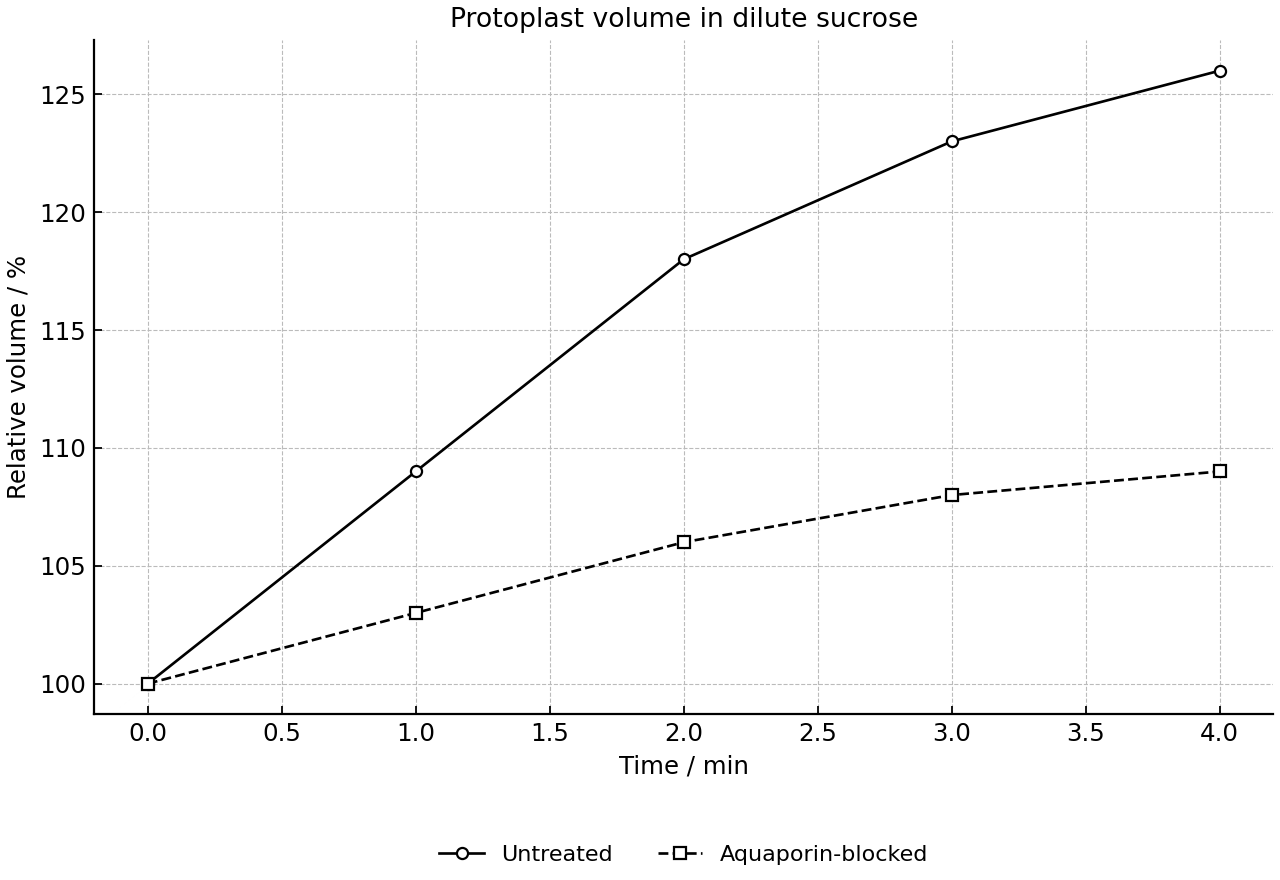 Change in protoplast volume over time for untreated and aquaporin-blocked protoplasts in dilute sucrose.