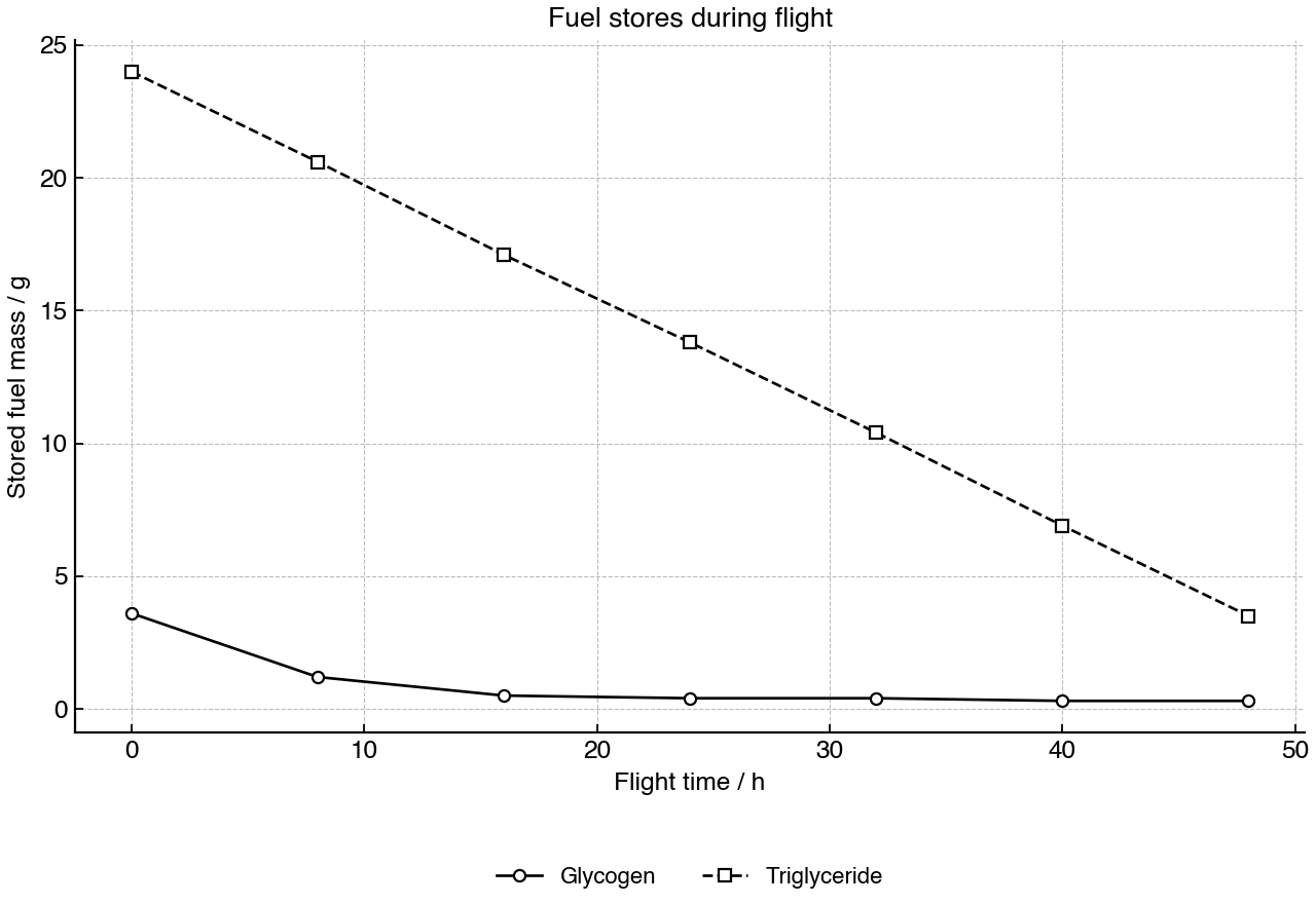 Line graph comparing stored glycogen and triglyceride mass during a migratory flight.