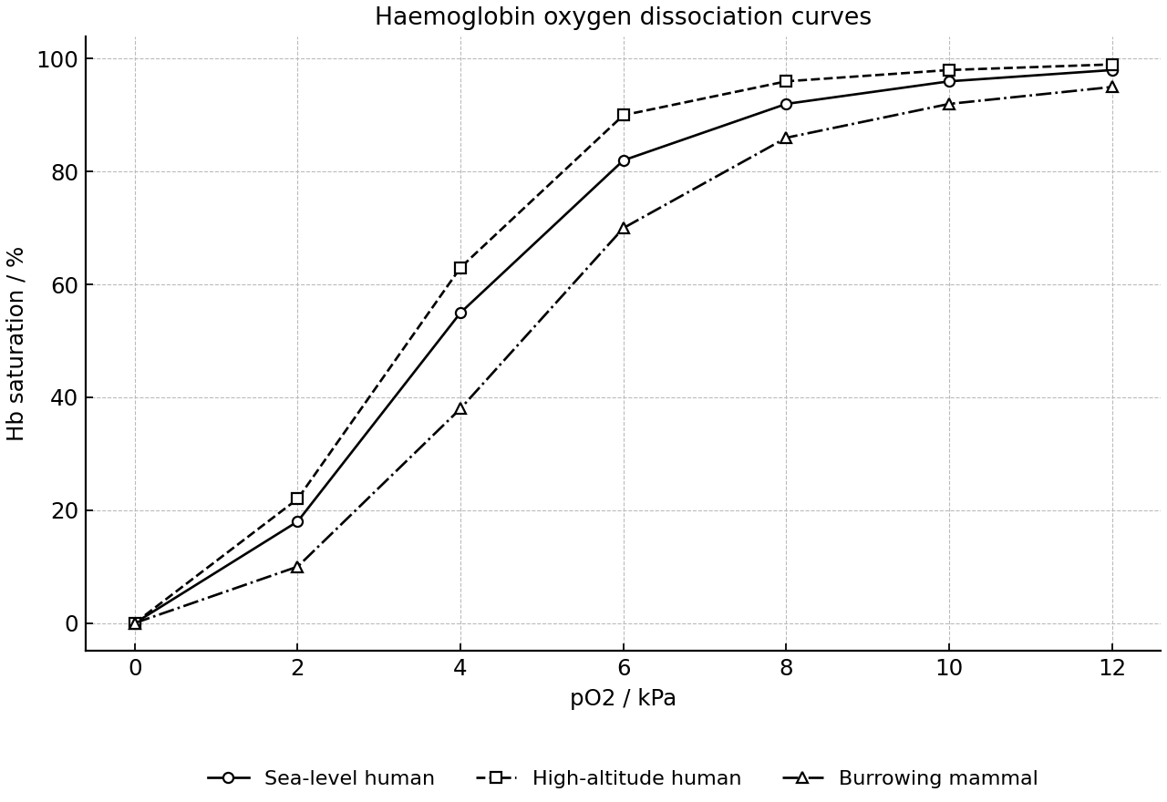 Haemoglobin oxygen dissociation curves in three mammals.