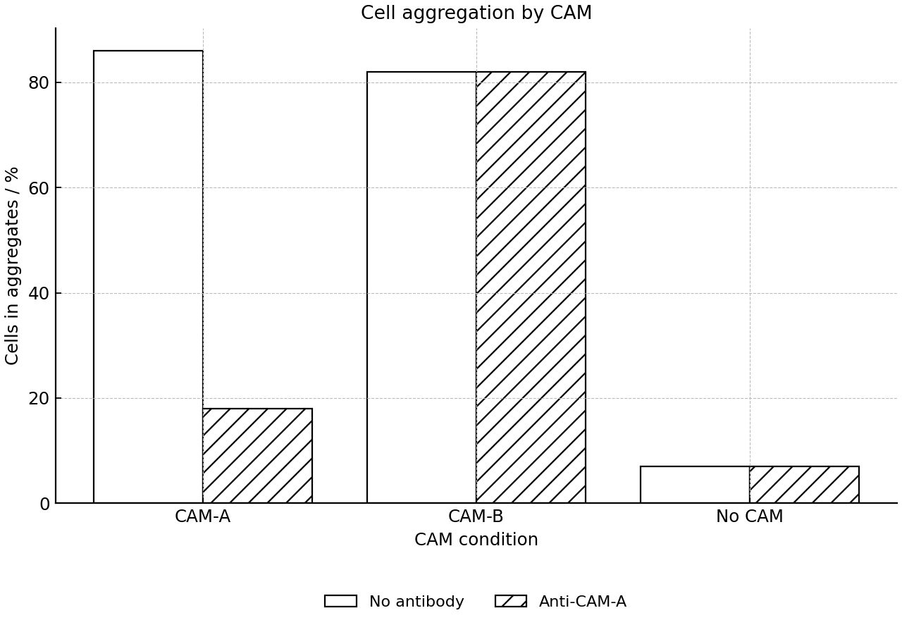 Percentage of cells in aggregates under no antibody or anti-CAM-A treatment.