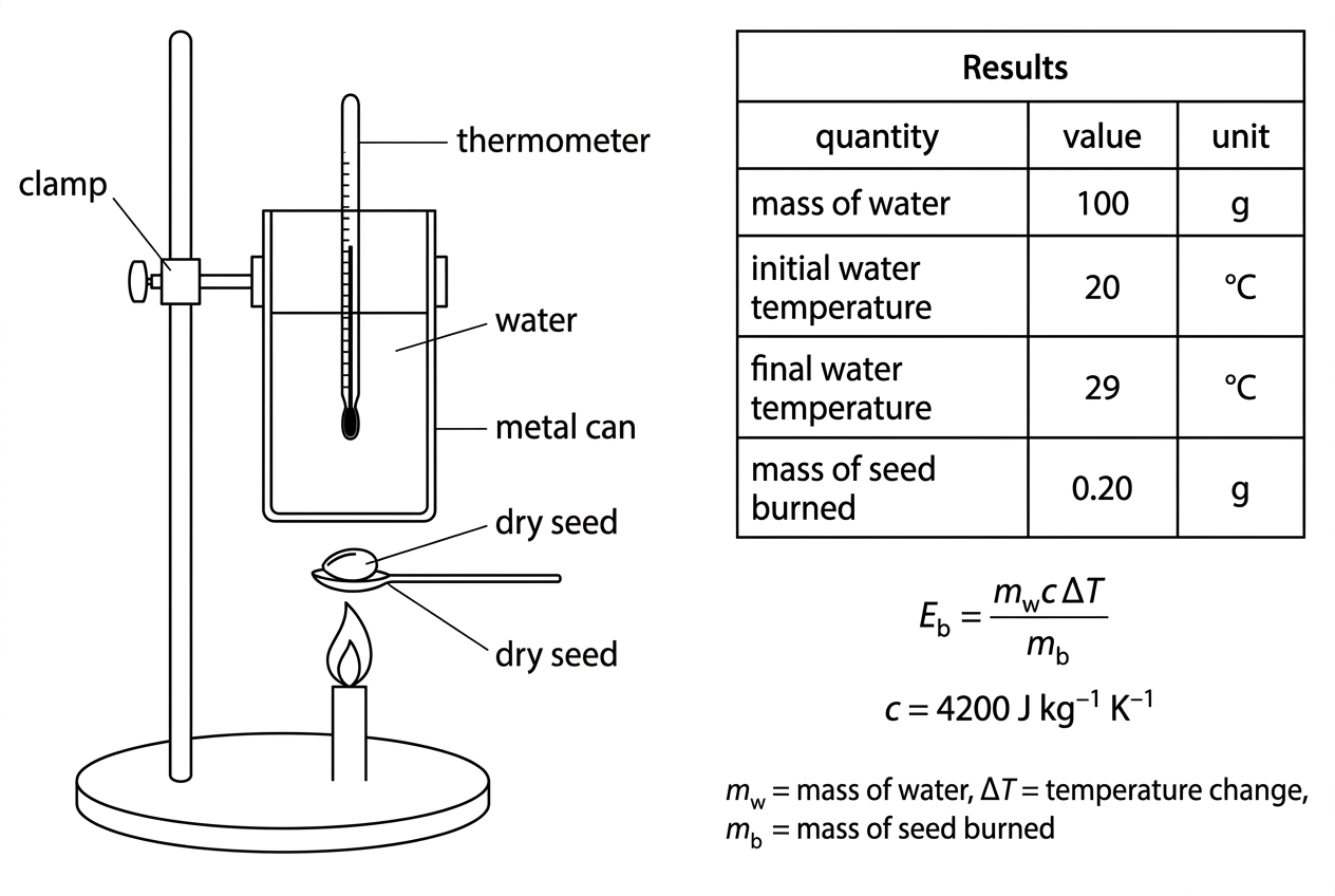 Annotated apparatus diagram and results table for a simple calorimetry investigation. The diagram shows a burning dry seed below a test tube or metal can containing a measured mass of water, a thermometer, and a clamp. The table lists mass of water, initial and final water temperature, mass of seed burned and the equation $E_b = (m_w c \Delta T) / m_b$ with units for each variable. Data should allow calculation of energy content in $kJ g^{-1}$.