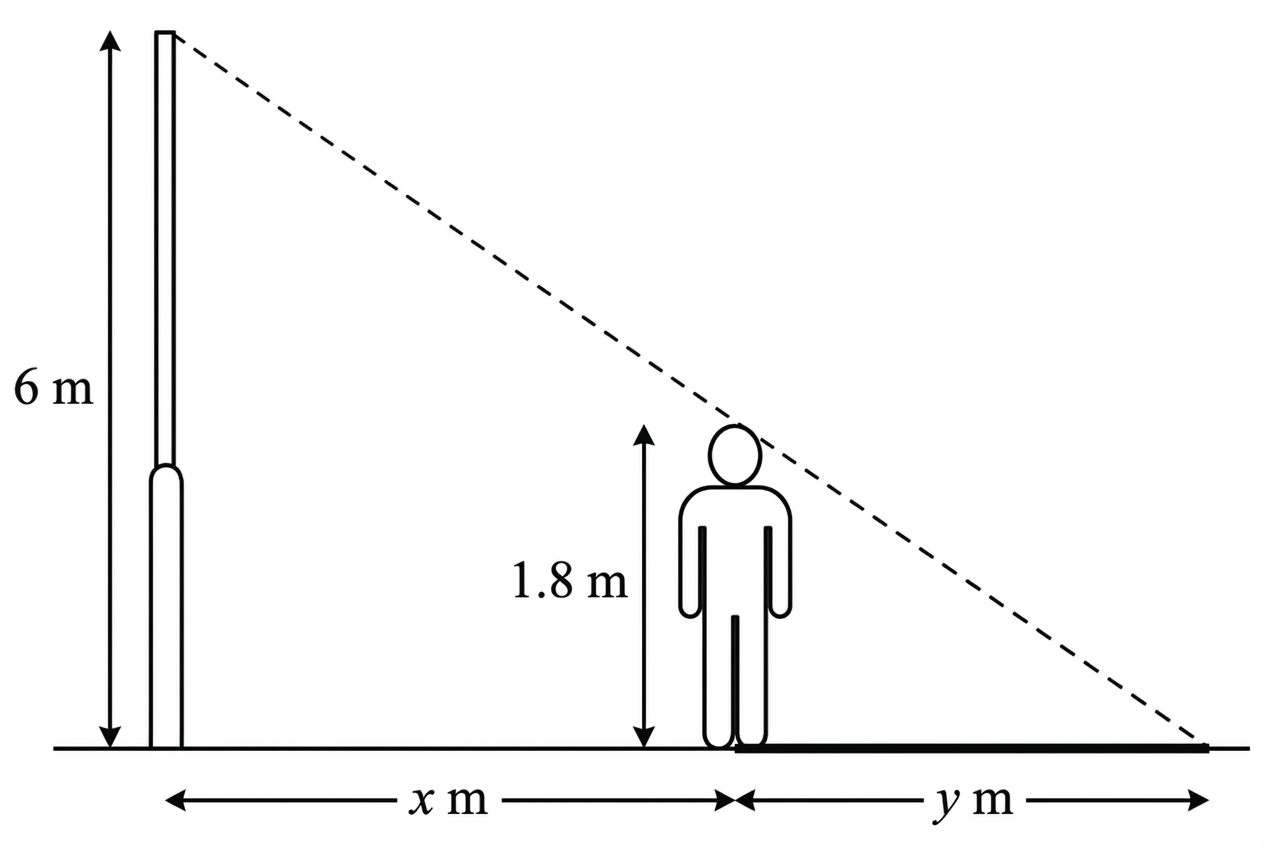 Side-view related-rates diagram showing a vertical lamp, a shorter person, the distance x from the lamp to the person, and the shadow length y beyond the person.