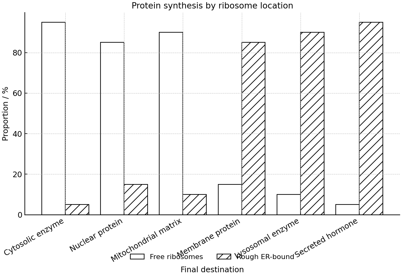 Estimated proportion of proteins synthesized on free ribosomes or rough ER-bound ribosomes for different final destinations.