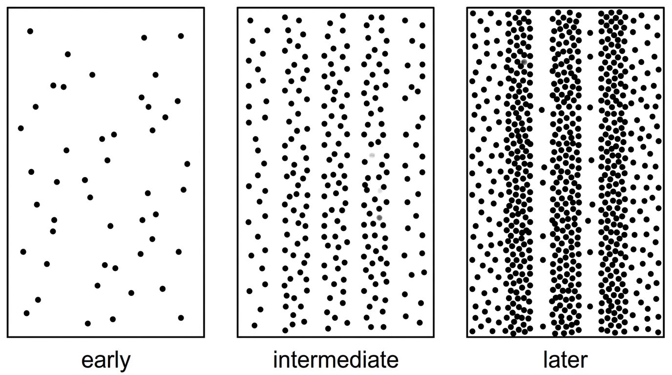 A three-panel sequence of a detection screen for a two-slit electron experiment: sparse localized dots at early time, more dots at intermediate time, and a final fringe-like distribution of high and low dot density.