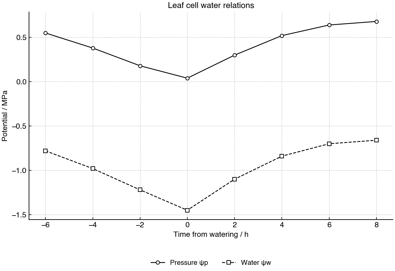 Line graph of leaf cell pressure potential and water potential before and after watering.