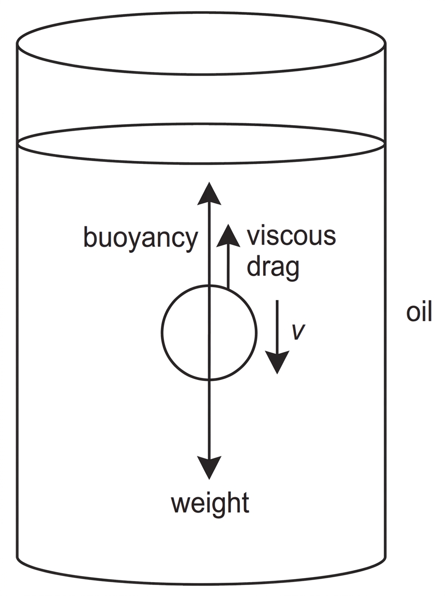 A simple labelled free-body diagram of a sphere falling downward through a liquid at terminal speed. The diagram should show the sphere in a container of liquid, with weight downward and buoyancy and viscous drag upward. No numerical force values are shown.