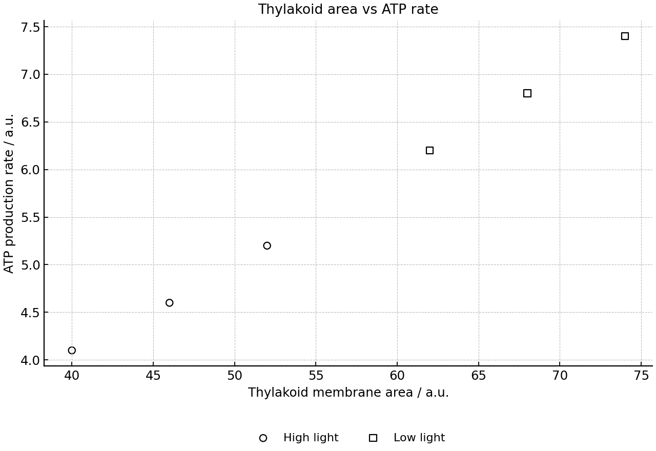 Scatter plot of thylakoid membrane area and ATP production rate in chloroplasts from low- and high-light leaves.