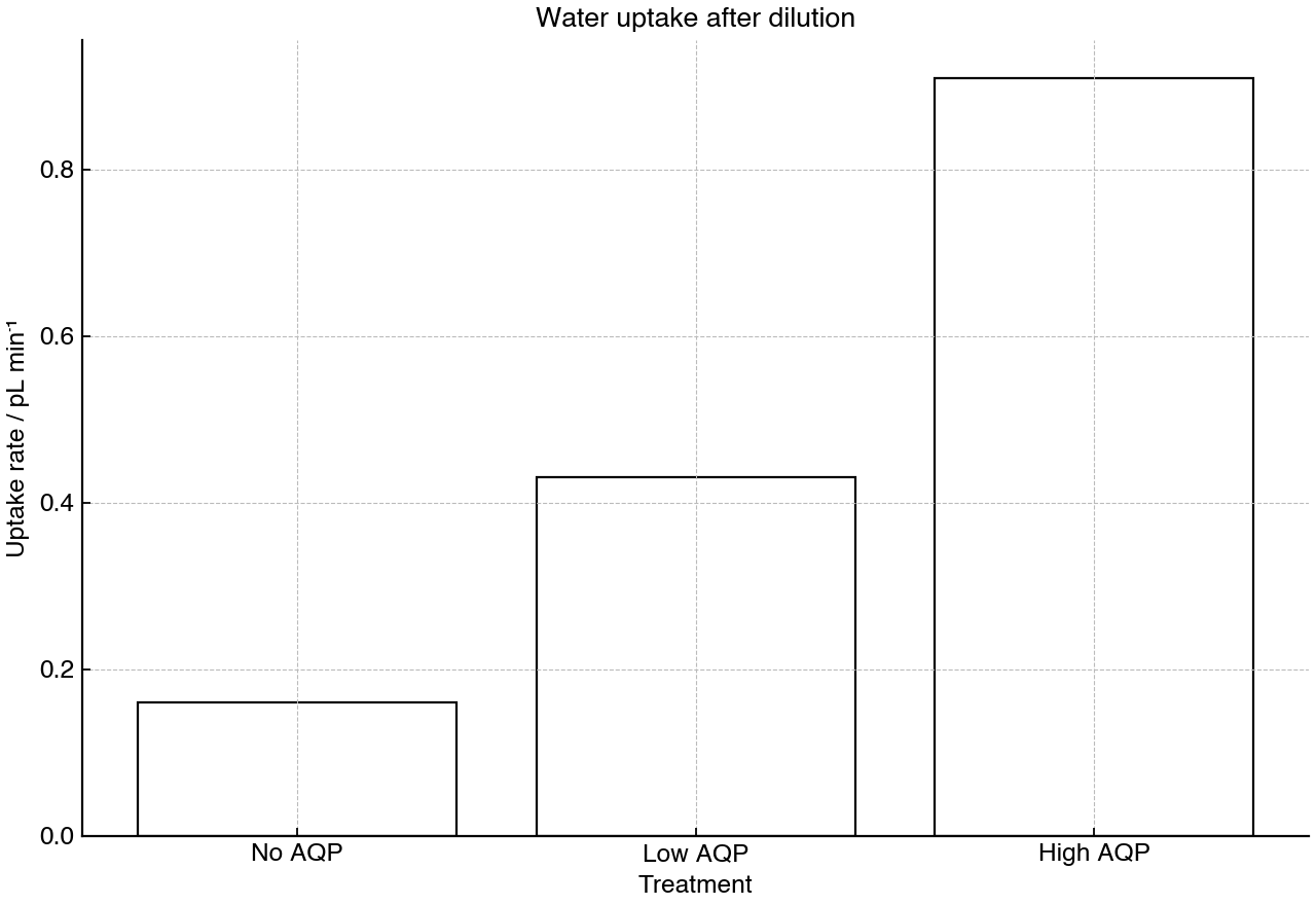 Bar chart showing water uptake rates for cells expressing different amounts of aquaporin after transfer to a dilute solution.