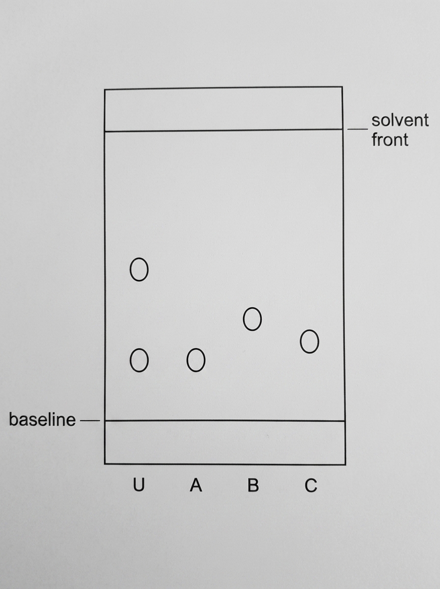 Paper chromatogram with lanes U, A, B and C, common baseline and solvent front; U has two spots, one aligned horizontally with one reference dye spot and one not matching any reference.